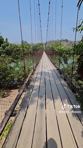 #chiapasmexico🇲🇽