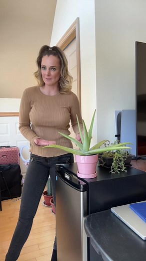 Bella Gallops (@bellahavingmorefun)’s videos with original sound - Bella Gallops