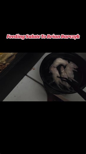 I wanna thank everyone for watching our channel and I wanted to do a snake feeding salute to Brian. I've been following Brian for many years and he is the exact reason why I decided to get Ball Pythons. After watching him over the years I realized that snakes among other reptiles are just like other domesticated animals. As long as you keep them happy, then they will respect you. Many people have a fear of snakes and I did too, but I overcame those fears by getting one, which turned into getting