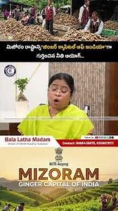 #MizoramGinger #GingerCapitalOfIndia #NITIAayog #MizoramPride #GingerFeatures #AgricultureIndia #yt