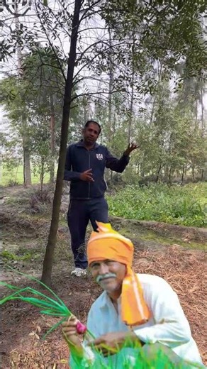 #sandalwood #farming #plz_subscribe_my_channel