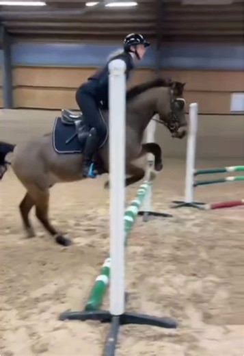 Gassee🤍#lillemonsgasoline #gasolineotilda #sjöisgasoline #fyp #unghäst #sjöstjärnansgasoline #sjöisunghäst #equestrian #sjöishyrare #foruyou