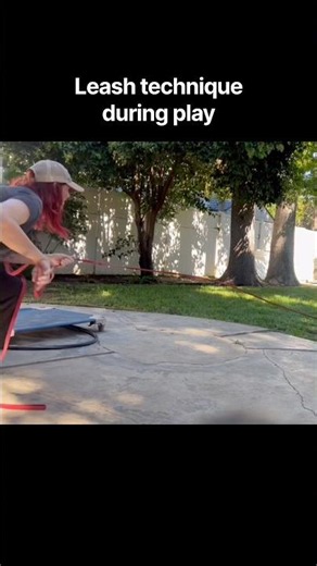 Training recall during play and leash technique