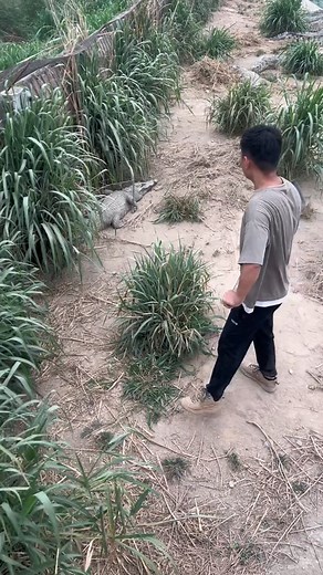 8.6K views · 46 reactions | Animal World on Reels | Facebook