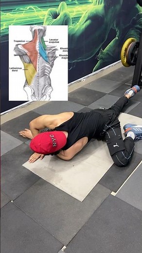Full Back Unlock Stretch #streching #mobility #gym #pain