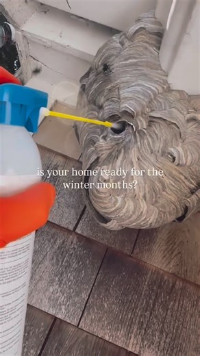 125 reactions · 7 comments | As the cold rolls in across Cape Cod,...