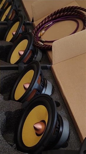 8" woofer array line