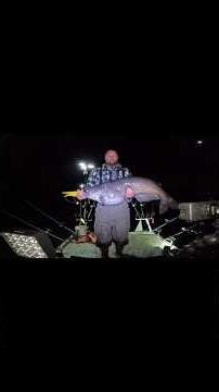 Biggest fish so far in new boat, 32lb blue catfish. #fishing #catfishing