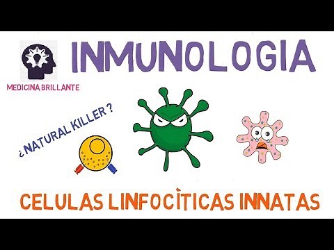 Células Linfocíticas Innatas (Natural Killer)