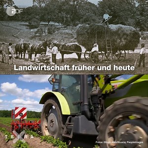 459K views · 1.8K reactions | Wenn zig-Millionen Deutsche morgens einen Schluck Milch in den Kaffee kippen, dann reicht dafür keine Bilderbuchwiese mit einer einsamen Kuh. Wie also leben wir so, dass es uns, den Bauern, den Tieren und Feldern gut geht? | Terra X | Facebook