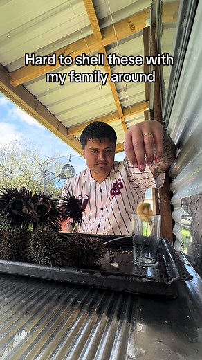 Unique and Stylish Footwear for Men and Women | Tiger Shoes NZ & Veja Shoes NZ