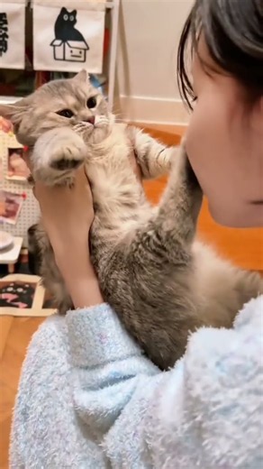 These cats are r