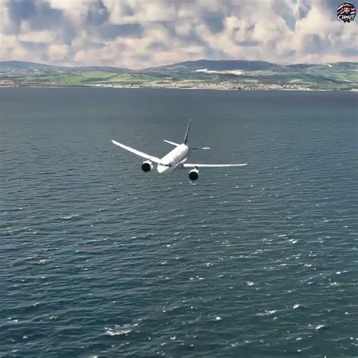 This Landing Will Leave You Speechless #aviation #shorts