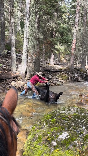 Shoutout to @briansboots they have an awesome selection of boots here in Sheridan, WY. Nothing was going to keep Taylor’s feet dry except maybe some waders. #doubleraftercattledrives #cattledrive #boots #cowboy #cowgirl #cowboyboots #newbootgoofin #adventure #travel #vacation #ranch #ranchlife #wyoming #montana | Double Rafter Cattle Drives