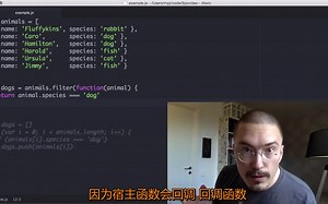 纯手工制作中文字幕-JavaScript函数式编程系列介绍