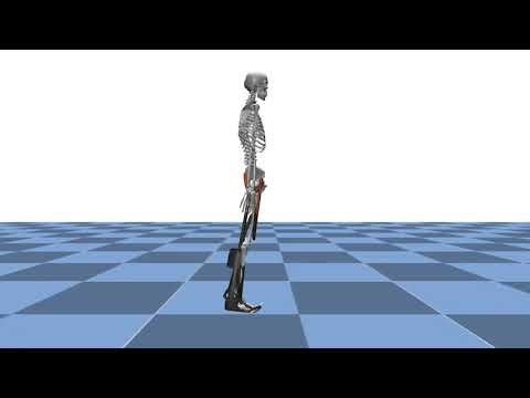 OpenExo Ankle exoskeleton walking demo trained with SAC in MyoAssist