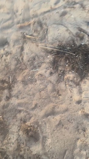 You guys got me good! The Tradition lives on the annual Birthday whip creaming this time 5 Gallon Bucket worth 😂 Thanks everyone for all the Love and Birthday Wishes today, think this might be the best year yet 🥰 | Sara Price