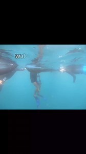 Variable Weight (VWT) is the discipline where the freediver can change the amount of weight used during descent and ascent. This means that the divers can use a sled to descend, and then ascend to the surface with the aid of a monofin, bi-fins, or by using upper body strength to pull themselves up the rope #freedivingcoachesofasia #freedivingpuertogalera #jeroenelout #FCOA | Freediving Coaches Of Asia