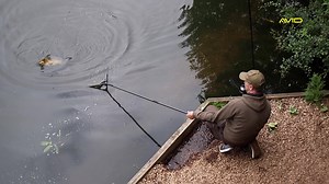 3.3K views · 42 reactions | The Exodus Rod range from Avid Carp...