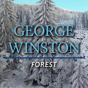 6.5K reactions · 934 shares | Chilly winter evenings are the perfect time to listen to Forest. What's your favorite song from the album? Tonight, we're enjoying "Last Lullaby Here". Listen to the full album now: https://fanlink.to/gw-forest | George Winston | Facebook