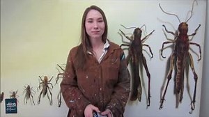 1.8K views · 20 reactions | NEW Preschool Picassos @ Home - Learn how...