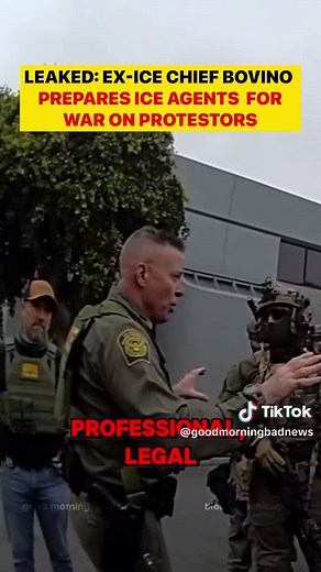 Border Patrol Chief's Controversial Remarks in LA