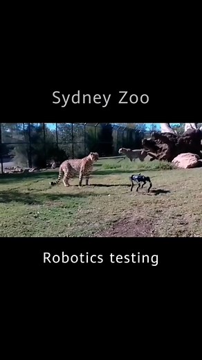 8.4K views · 21 reactions | Robotic innovation meets wildlife! 料 In...