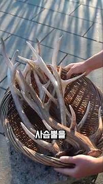 사슴뿔로 만든 천년의 접착제, 그리고 먹 하나의 탄생 비밀 #전통공예 #먹만들기 #사슴뿔접착제 #중국먹 #전통잉크 #장인의손끝 #천년의기술 #먹제작과정 #잉크스틱 #공예다큐