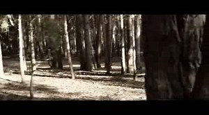 Поход / Экскурсия / The Hike (2011) ужасы, триллер