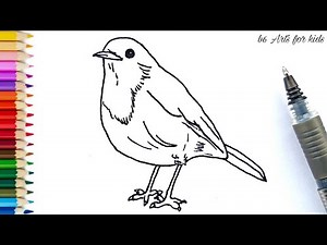 How to Draw a Robin