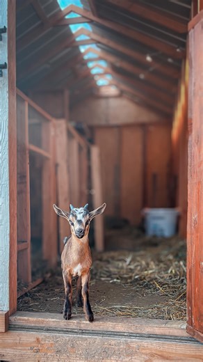 5.6M views · 70K reactions | We celebrated my Solstice miracle man’s...