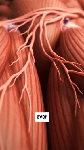 Flexplained on Instagram: "Muscle growth during sleep is explained simply. Why deep sleep = half your gains. “Train hard, recover harder.” #MuscleGrowth #SleepScience #FitnessTips #GymTok #Recovery"