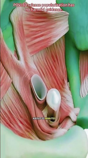 What Is V-tone Procedure and How It Works?