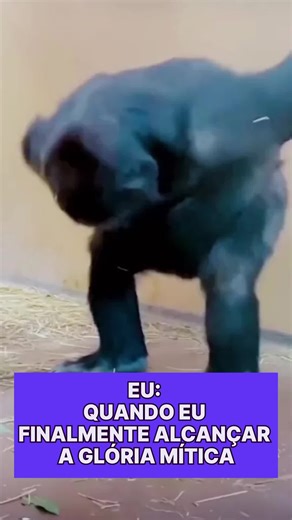 É hora de 💪 flexibilizar minha 💯 classificação! #codasquad