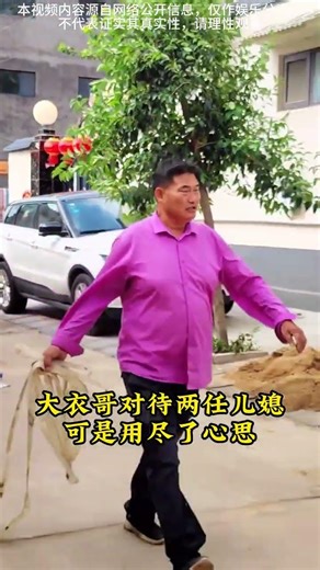 喜悦变悲伤：大衣兄意外孙子剧情