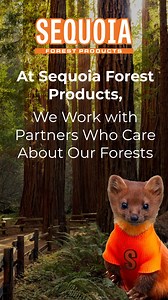 🧡 🐾 Meet Marty the Marten! 🧡 🐾 Sequoia Forest Products’ new mascot is here to remind us that healthy forests mean a brighter future for everyone—especially the animals who call them home. 🌲💚🌲 At Sequoia, we’re committed to partnering with those who share our passion for preserving habitats, promoting sustainable practices, and prioritizing 🔥 fire prevention to protect the forests we all love 🤗. Together, we’re working to keep Marty’s home... & Yours ‼️ safe and thriving for generations 