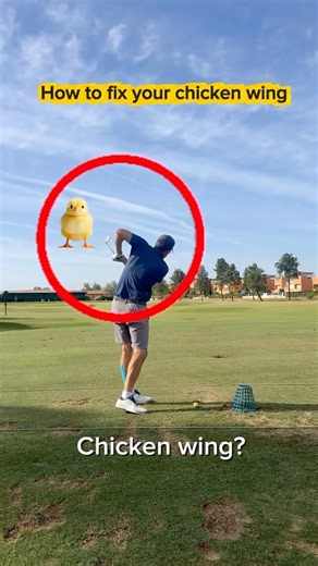 Fix your chicken wing forever
