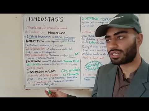 Grade 10 Biology| Unit 2 Lecture 1|“Homeostasis Made Easy: Basics & How Plants Maintain Balance | 