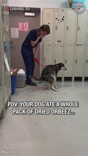 944K views · 3.4K reactions | Now I've Seen Everything on Reels | Facebook