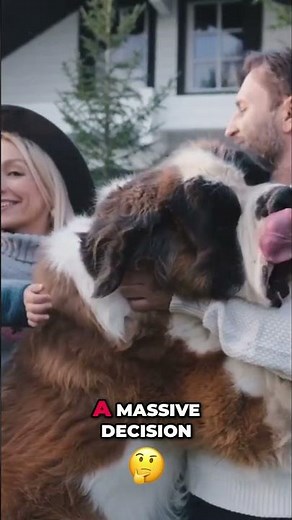 Top 5 Family Dogs! Science Reveals Best Breeds! #shorts