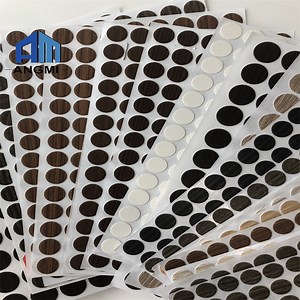 [Hot Item] Hot Sale Diameter 12mm Screw Cap Covers Decorative Covers