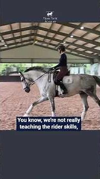 REFINING THE CANTER/WALK/CANTER TRANSITION WITH BON VOYAGE