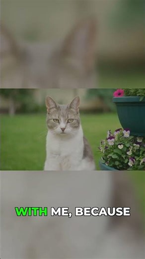 This One Trick Stops Cats Cold #gardening #gardeningtips #diy
