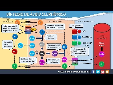SYNTHESIS OF HYDROCHLORIC ACID (HCL)