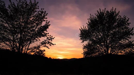 Sun Scene among Trees at Sunset,Generative AI Stock Video - Video of silhouette, afterglow: 449785033