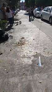 Sismo detectado | Noé Gómez