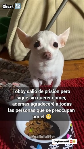 Tobby salió de prisión pero no quiere comer 😞