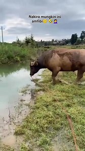 jgn lupa follow ya tmn2, masih bnyak video random menarik lainnya 🤗😚 #fyp #kontenkreator #funny | Muhammad Rama