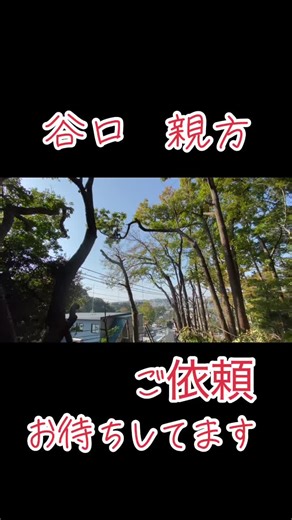 #ボイスライブラリー #植木 #職人 #現場 #ガテン系 #ロープ #伐採 #横須賀 #横浜 #恵修緑化 #けいしゅう #新人 #研修 #剪定 #草刈り #緑地管理 #ダンプ #パッカー #ツリークライミング