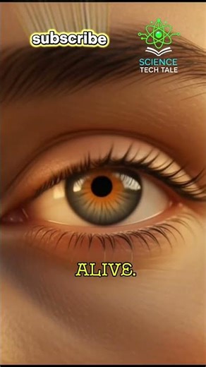 Your Brain Runs on a 24.1-Hour Clock (Not 24!) #24HourCycle #BiologicalClock #InternalClock